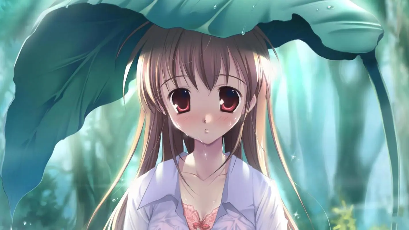 站长的头像网赚项目-副业赚钱-互联网创业-资源整合柒歌网创
